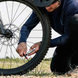 31839ECD-A2ED-485B-AFA0-3FA5D5B50131