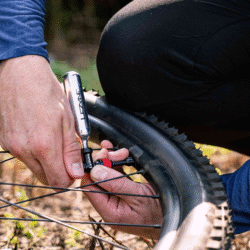 39E02D2F-94E1-46C2-A67D-95C7F62B6C2F