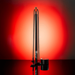 FBDE54CD-B24C-49F3-8069-5A08579FA273